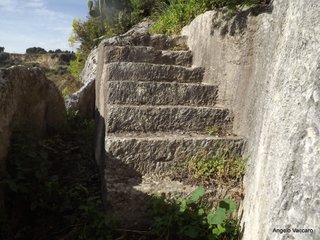 traro-30-12-2021 18-29-01